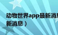 动物世界app最新消息1月（动物世界app最新消息）