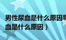 男性尿血是什么原因导致的怎样治疗（男性尿血是什么原因）