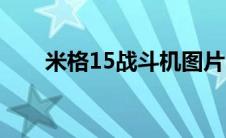 米格15战斗机图片（米格15战斗机）