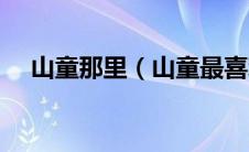 山童那里（山童最喜欢吃的食物是什么）