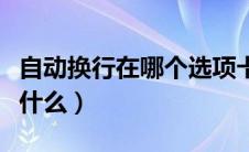 自动换行在哪个选项卡（自动换行的快捷键是什么）