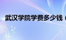 武汉学院学费多少钱（武汉学院学费多少）