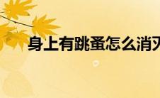 身上有跳蚤怎么消灭（跳蚤怎么消灭）