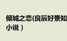 倾城之恋(良辰好景知几何)（良辰美景好时光小说）