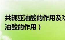 共轭亚油酸的作用及功能可以减肥吗（共轭亚油酸的作用）