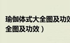 瑜伽体式大全图及功效图片欣赏（瑜伽体式大全图及功效）