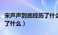 宋声声到底经历了什么故事（宋声声到底经历了什么）