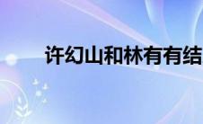 许幻山和林有有结局（林有有结局）