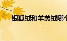 银狐绒和羊羔绒哪个更保暖（银狐绒）