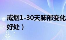 戒烟1-30天肺部变化3d图（戒烟对性功能的好处）