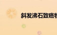 斜发沸石致癌物（斜发沸石）