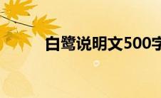 白鹭说明文500字（白鹭说明文）