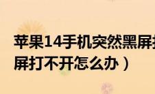 苹果14手机突然黑屏打不开怎么办（苹果x黑屏打不开怎么办）