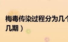 梅毒传染过程分为几个期（梅毒传染过程分为几期）