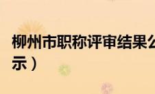 柳州市职称评审结果公示（柳州市职称评审公示）