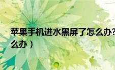 苹果手机进水黑屏了怎么办?（苹果手机进水黑屏打不开怎么办）