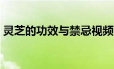 灵芝的功效与禁忌视频（灵芝的功效与禁忌）