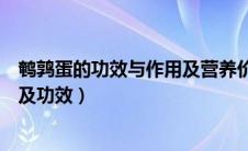 鹌鹑蛋的功效与作用及营养价值及禁忌（鹌鹑蛋的营养价值及功效）