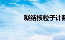 凝结核粒子计数器（凝结核）