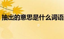 抽出的意思是什么词语（抽出的意思是什么）