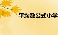 平均数公式小学（平均数公式）