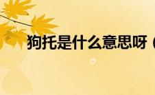 狗托是什么意思呀（狗托是什么意思）