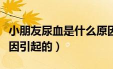 小朋友尿血是什么原因引起的（尿血是什么原因引起的）