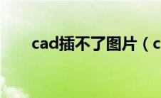 cad插不了图片（cad无法插入图片）