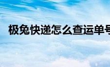 极兔快递怎么查运单号（极兔快递怎么样）