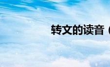 转文的读音（转的读音）