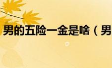 男的五险一金是啥（男的五险一金包括什么）