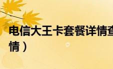 电信大王卡套餐详情查询（电信大王卡套餐详情）
