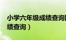 小学六年级成绩查询网2021（小学六年级成绩查询）