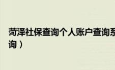菏泽社保查询个人账户查询系统（菏泽社保查询个人账户查询）