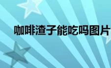 咖啡渣子能吃吗图片（咖啡渣子能吃吗）