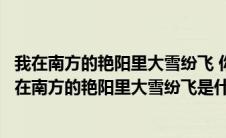 我在南方的艳阳里大雪纷飞 你在北方的寒夜里四季如春（我在南方的艳阳里大雪纷飞是什么歌）