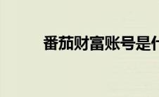 番茄财富账号是什么（番茄财富）
