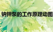 钠钾泵的工作原理动图（钠钾泵的工作原理）