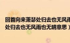 回首向来萧瑟处归去也无风雨也无晴的意思（回首向来萧瑟处归去也无风雨也无晴意思）