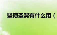 坚韧圣契有什么用（坚韧圣典有什么用）