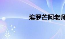 埃罗芒阿老师第二季全集