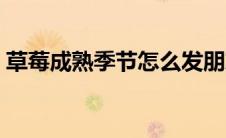 草莓成熟季节怎么发朋友圈（草莓成熟季节）