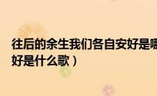 往后的余生我们各自安好是哪首歌（往后的余生我们各自安好是什么歌）