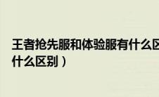 王者抢先服和体验服有什么区别呢（王者抢先服和体验服有什么区别）