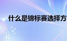 什么是锦标赛选择方法（什么是锦标赛）