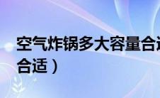 空气炸锅多大容量合适?（空气炸锅多大容量合适）