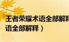 王者荣耀术语全部解释术语大全（王者荣耀术语全部解释）