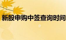 新股申购中签查询时间（新股申购中签查询）