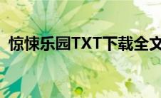 惊悚乐园TXT下载全文（惊悚乐园txt下载）