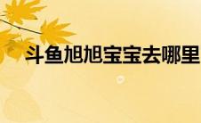 斗鱼旭旭宝宝去哪里了（斗鱼旭旭宝宝）